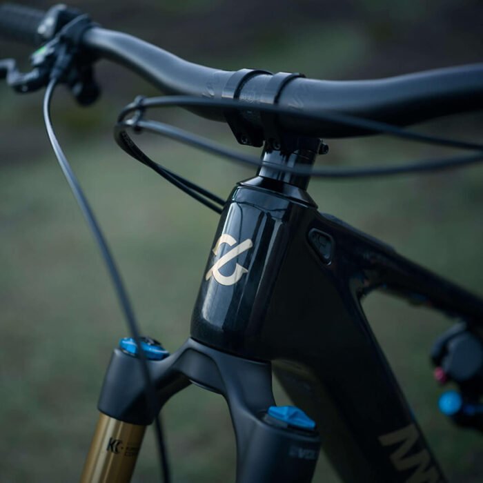 AmflowPL carbon Pro(800wh) - Image 4